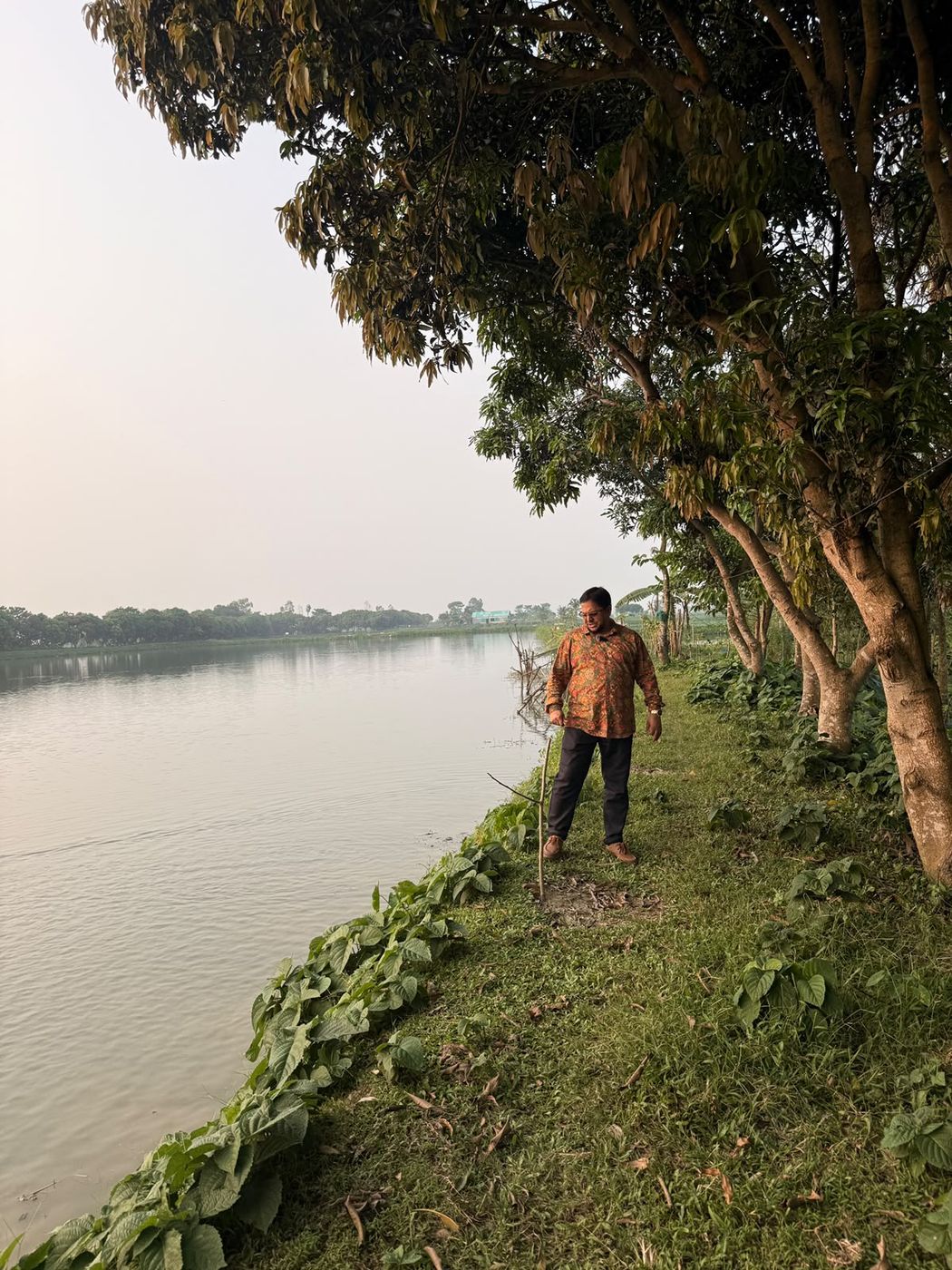 আম গাছের ছায়ায় পুকুর পাড়ের সবুজ পথ